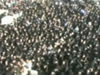 Video: Holtzbergs' Funeral Services
